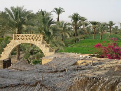 Fayoum Oasis