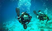 4 Days PADI open water course