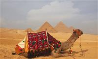 7 Days Cairo and Hurghada Package