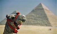 Day Tour to Cairo Pyramids & Egyptian Museum