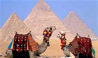 Day Tour to Cairo from Sharm El Sheikh by Flight