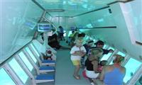 Semi Submarine Trip From Sharm El Sheikh