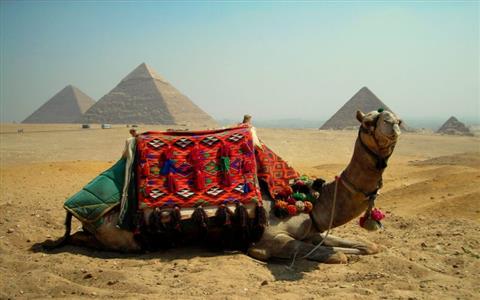 cairo day tours
