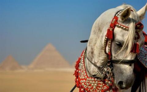 cheapest Holidays to Egypt