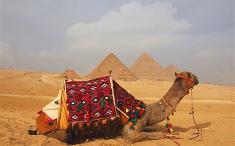 Cairo and Hurghada package