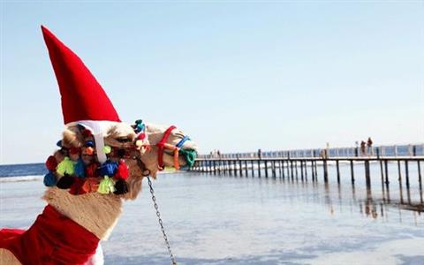 7 Days Christmas Package to Cairo & Nile Cruise