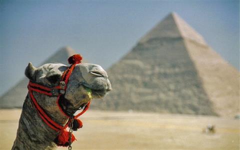 Day Tour to Cairo Pyramids & Egyptian Museum