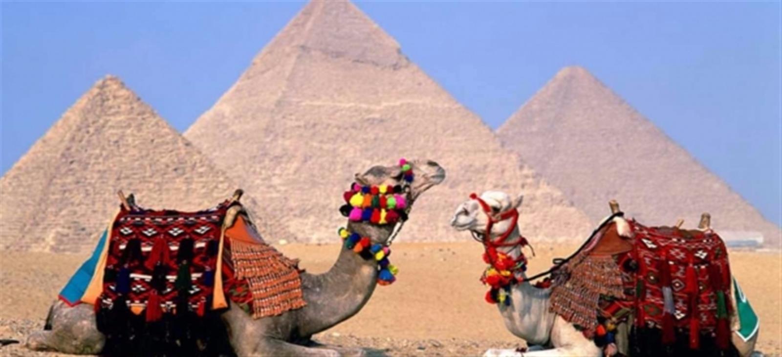 tour to cairo from sharm el sheikh by plane